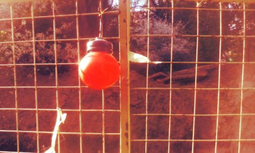 received_1163648300342594